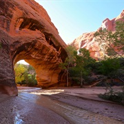 Coyote Gulch, Grand Staircase-Escalante National Monument, Utah