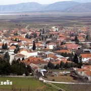 Florina