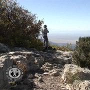 Manzano Mountains Fall Migration Site, New Mexico