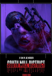 The South Mill District (2018)