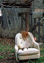 Extended Frames (Sue Abramson)