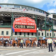 See the Cubs Play at Wrigley Field