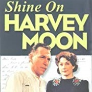 Shine on Harvey Moon (TV Series)