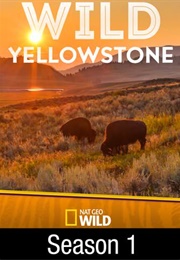 Wild Yellowstone (2015)