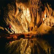 Mole Creek Karst National Park (TAS)