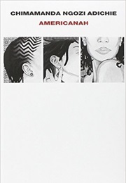 Americanah (Chimamanda Ngozi Adichie)