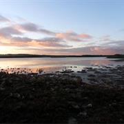 Coorong National Park (SA)