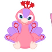 Pinktastic Peacock