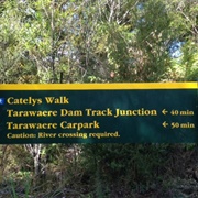 Catleys - Kauraerenga Valley