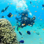 Diving in Red Sea, Jordan