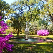 Rosedown Plantation and Gardens