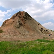 Mazon Creek Fossil Beds