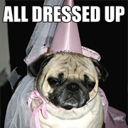 All Dressed Up and Nowhere to Go