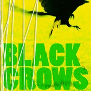 Black Crows