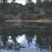 Spittal Pond, Bermuda
