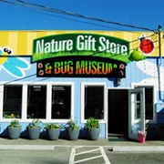 Bremerton Bug Museum