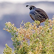 McKay Creek National Wildlife Refuge