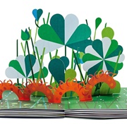 A Pop-Up Children's Book