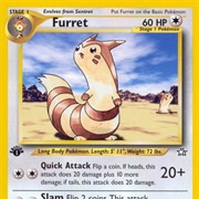 Furret