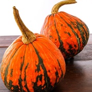 Lakota Squash