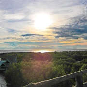 Mui Ca Mau National Park