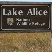 Lake Alice National Wildlife Refuge