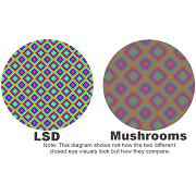 LSD/Shrooms