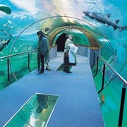 Aquarium of San Sebastian