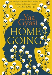 An Own Voices Novel (Homegoing)