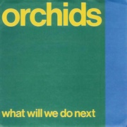 The Orchids-What Will We Do Next