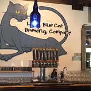 Long Blue Cat Brewing Co.