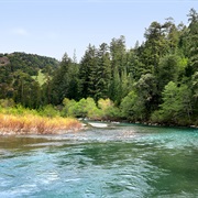 Benbow Lake State Recreation Area, California