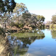 Lake, Maggie Beer's Farm