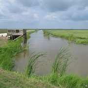 San Bernard National Wildlife Refuge