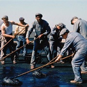 The Shawshank Redemption