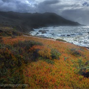 The California Coast