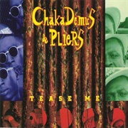 Chaka Demus & Pliers - Tease Me