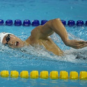 Swim the Front Stroke