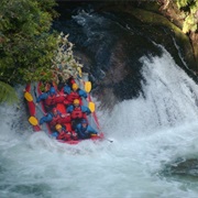 Grade 5 Rafting on Kaituna River, New Zealand
