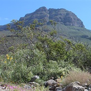 Oliver Lee Memorial State Park, New Mexico