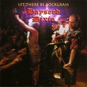 Let There Be Rockgrass - Hayseed Dixie