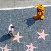 Walk on the Hollywood Walk of Fame