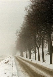 Last Christmas of the War (Primo Levi)