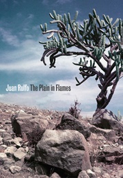 The Plain in Flames (Juan Rulfo)