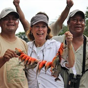 Piranha Fishing in the Amazon