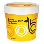 Orange Chocolate Chip Ice Cream
