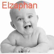 Elzaphan