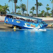 San Diego Duck/Seal Boat Tour