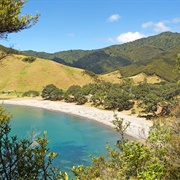 Stony Bay - Coromandel