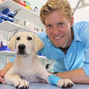 Bondi Vet